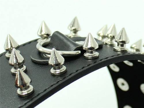 Studded Wrist Bands with D-Ring - Bondage Shop