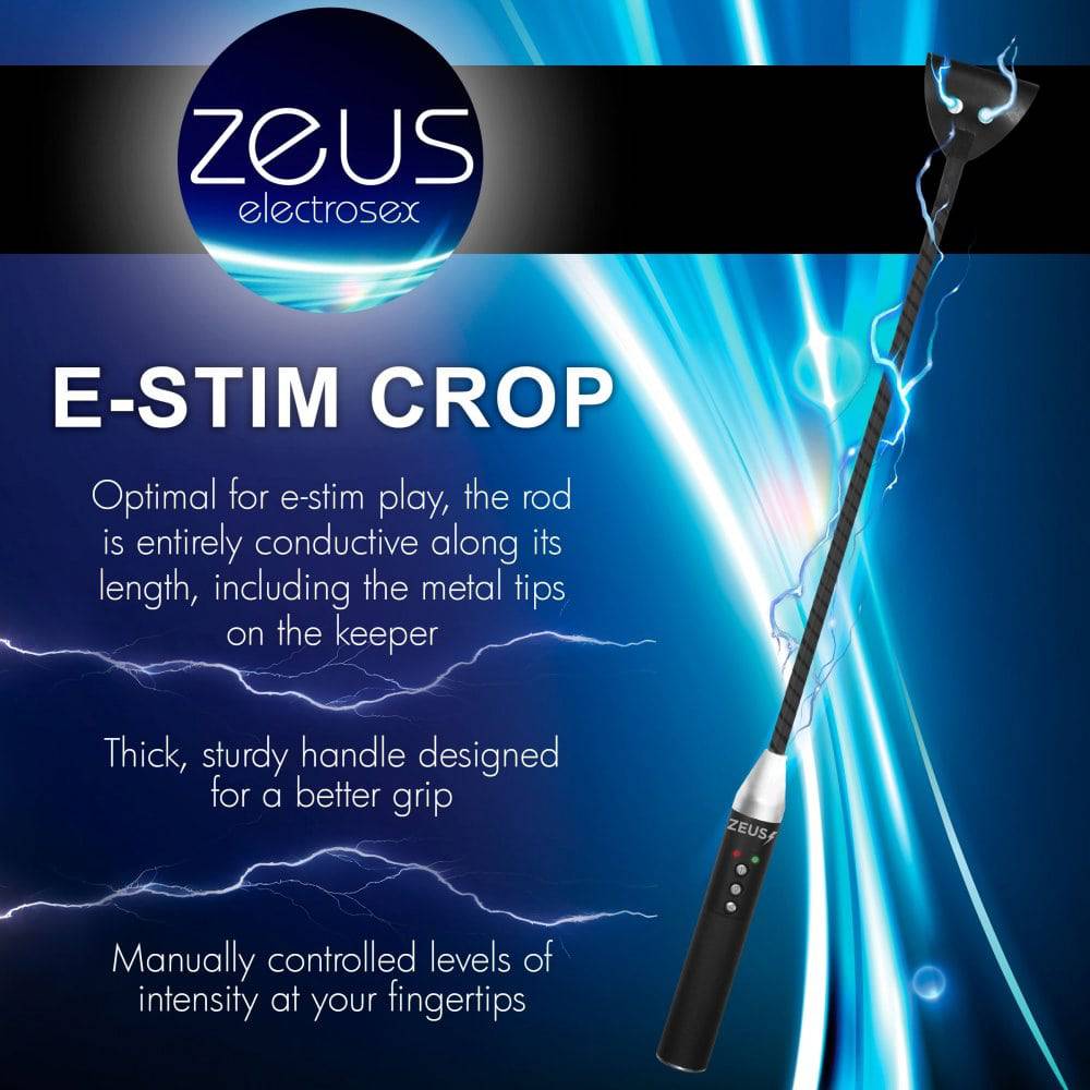 Zeus Electrosex Riding Crop