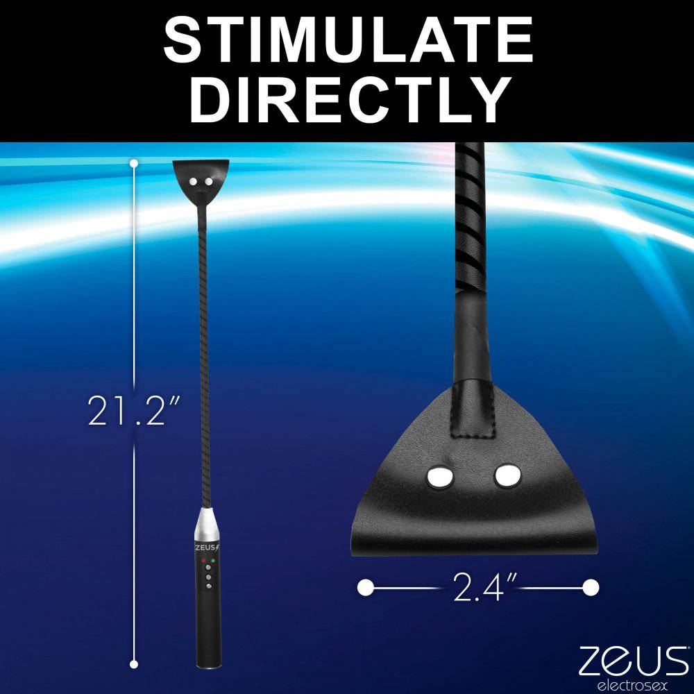 Zeus Electrosex Riding Crop