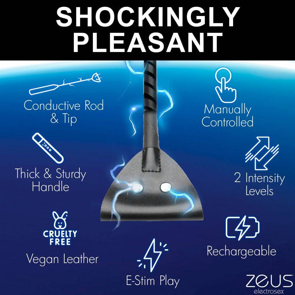 Zeus Electrosex Riding Crop