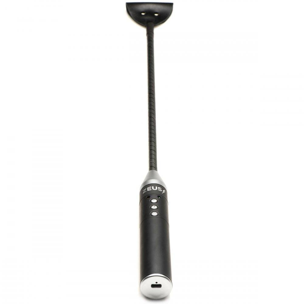 Zeus Electrosex Riding Crop