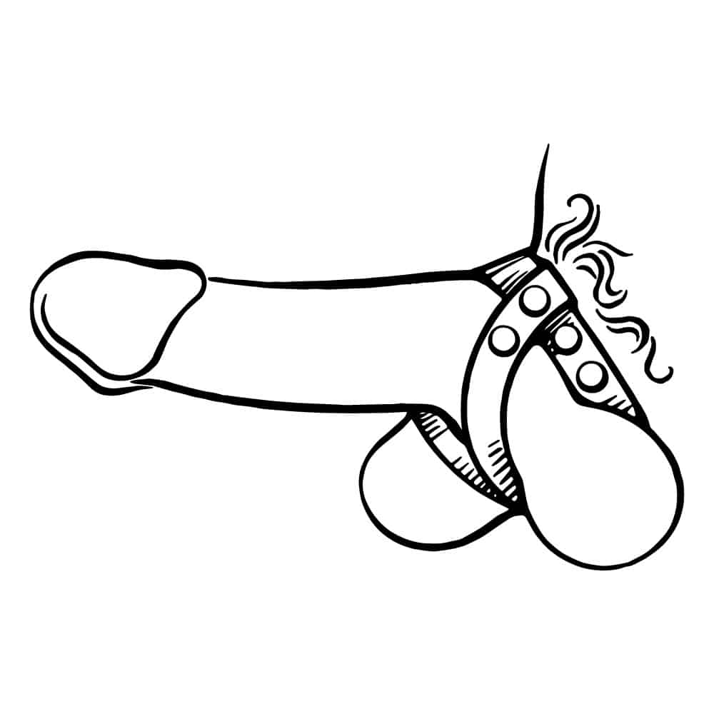 drawing of the C*ck Strap Crossover - Lucrezia & De Sade on a penis