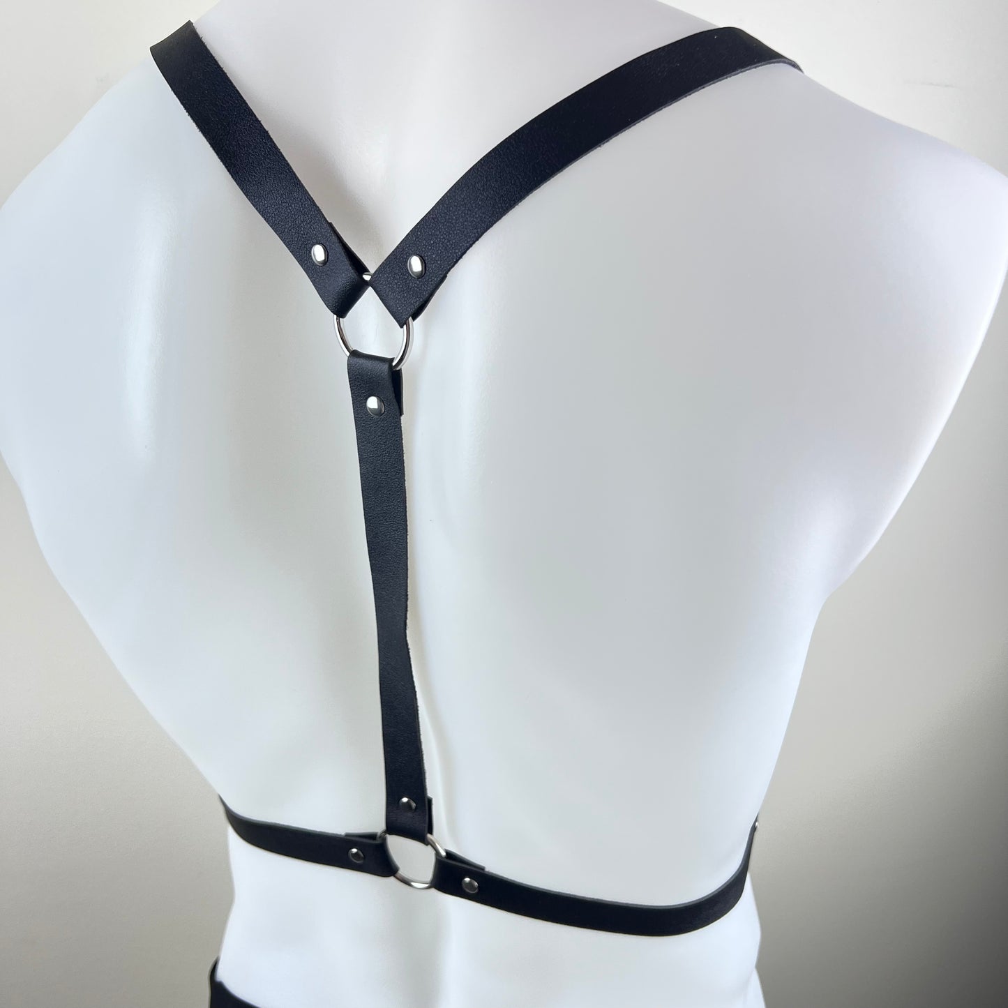 The D-Ring Statement Harness