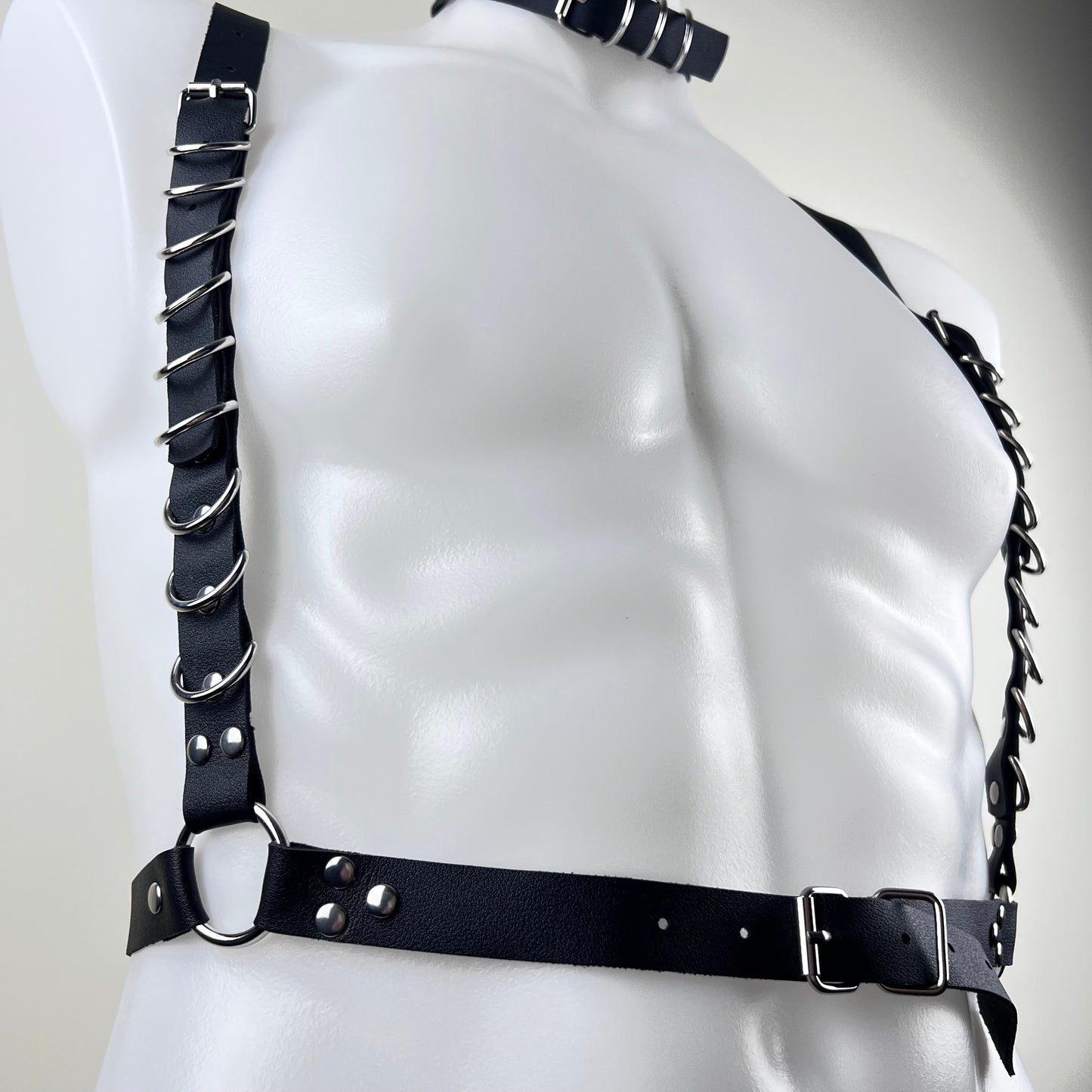 The D-Ring Statement Harness