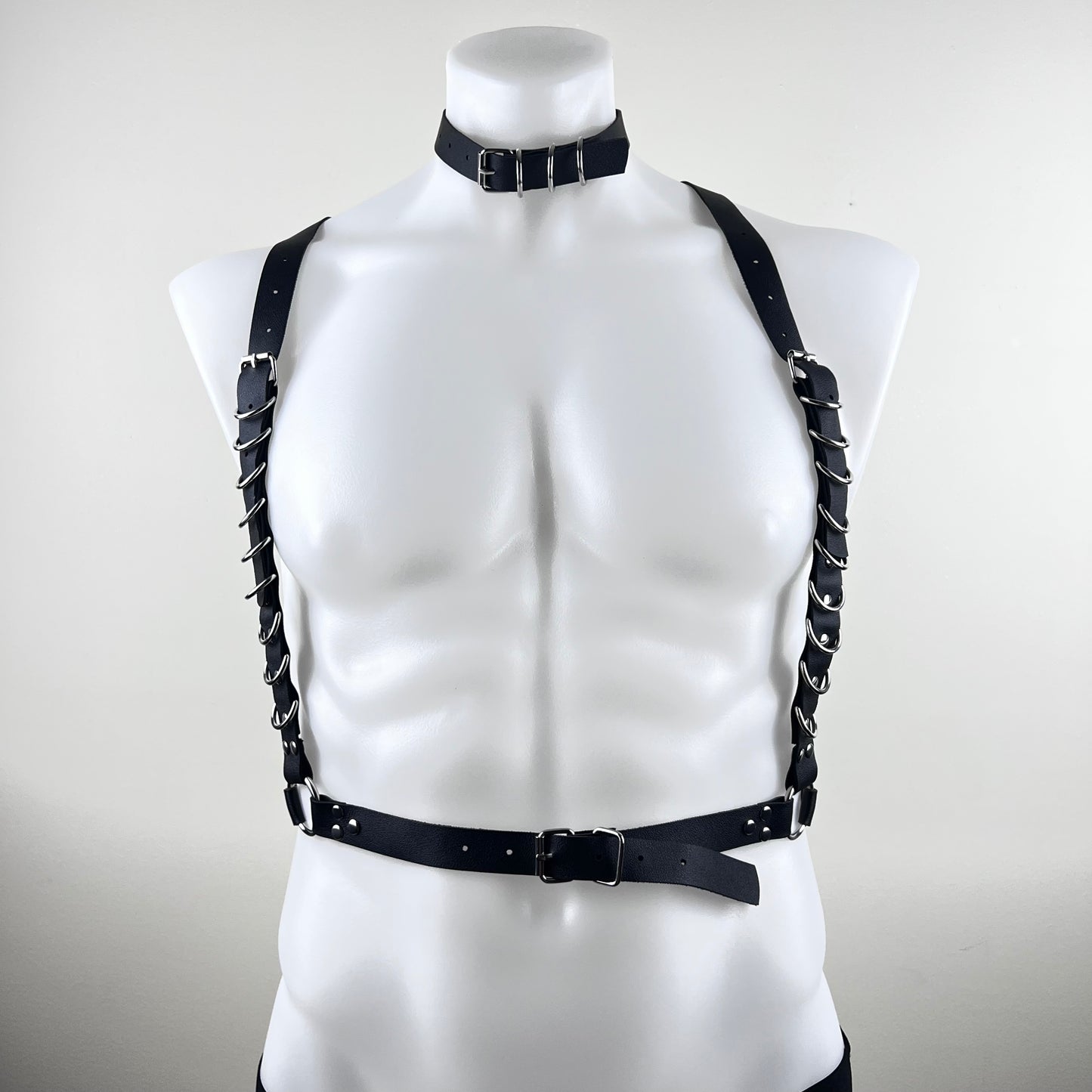 The D-Ring Statement Harness