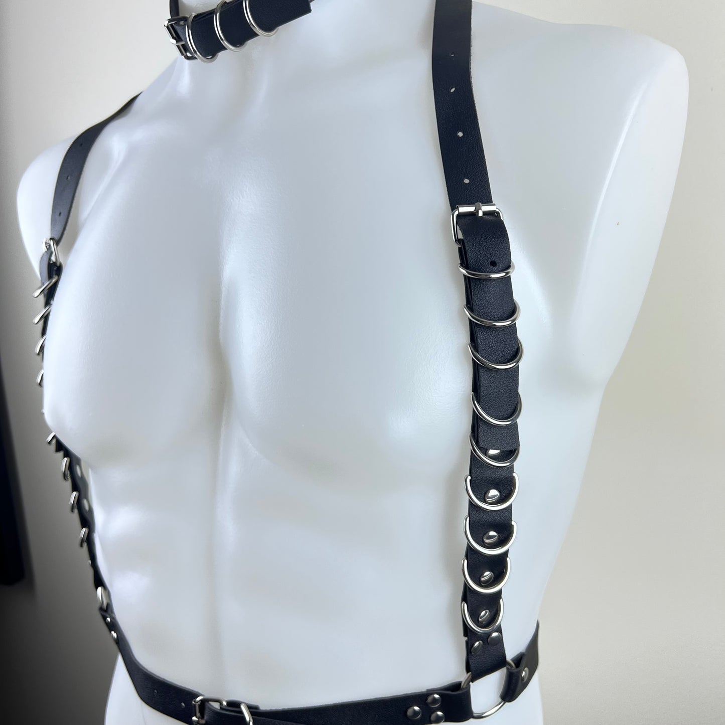 The D-Ring Statement Harness