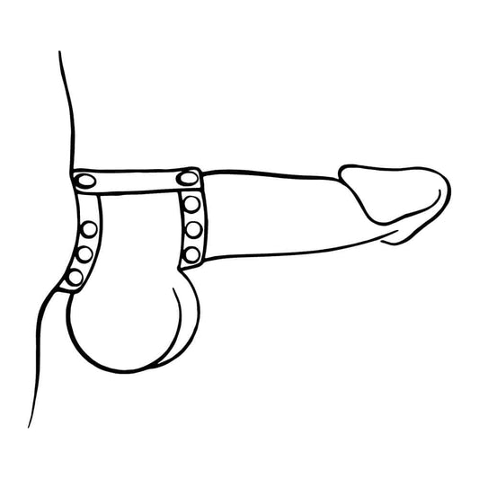 Cock Strap H Line with D Ring - Lucrezia & De Sade