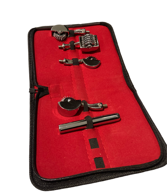 PLEASURE AND PAIN - PINWHEEL KIT WITH INTERCHANGEABLE HEADS
