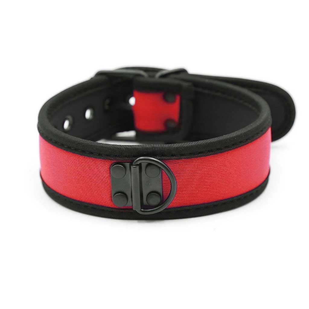Red dog collar with black buckle on a white background
