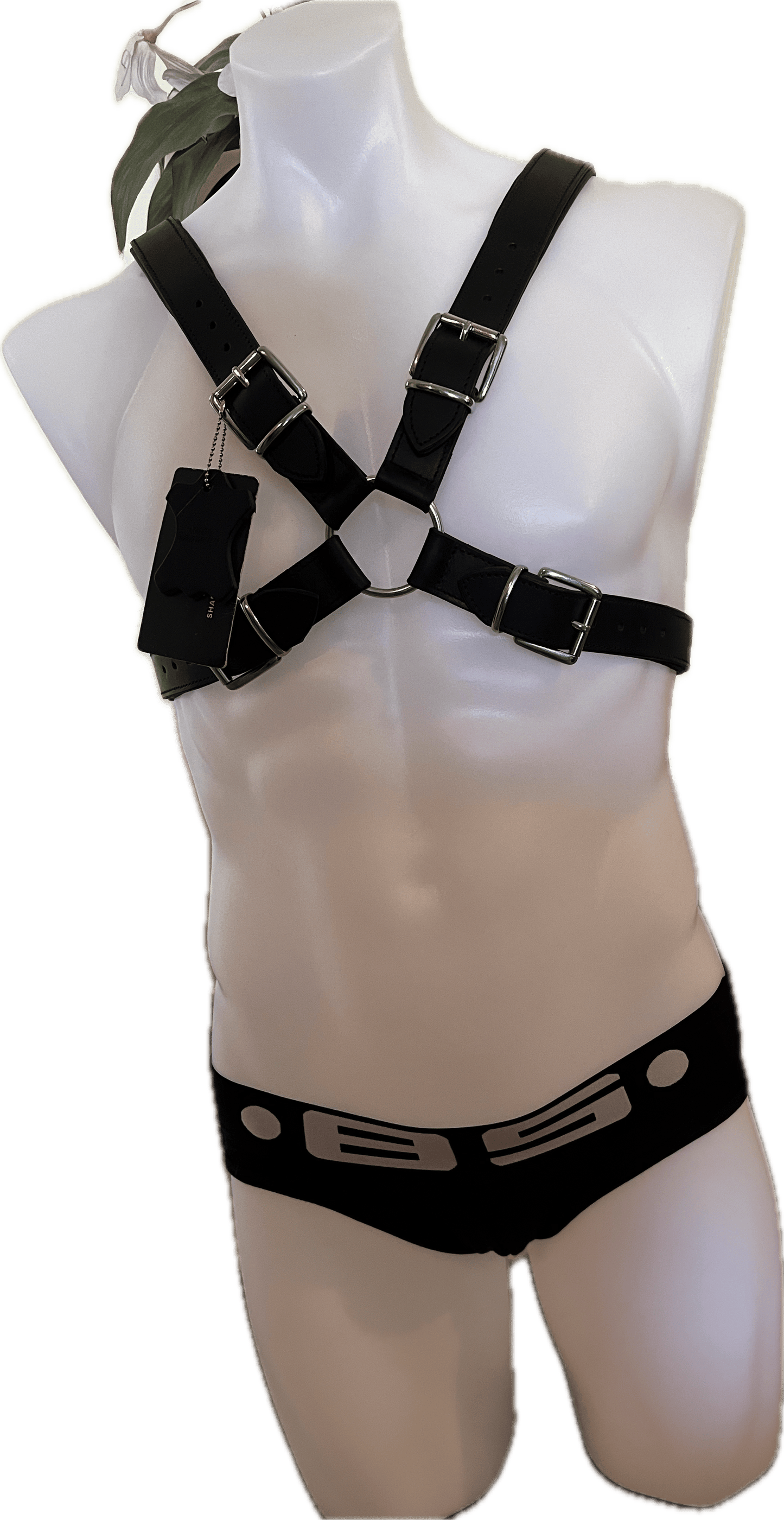 BS Open Jock