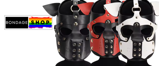 Pup Play 101: A Beginner's Introduction to Puppy Play
