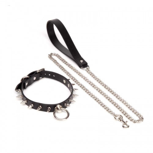 Dog Leads