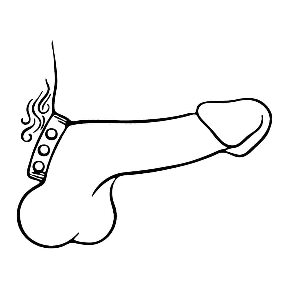 Black & White drawing of a penis wearing the Cock Strap (7 Speed) - Lucrezia & De Sade