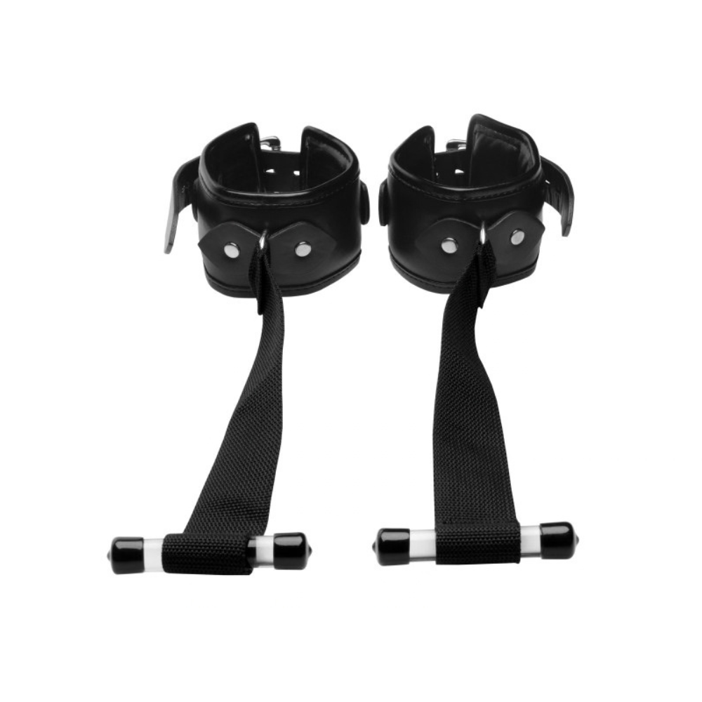 Deluxe Over the Door Restraint System