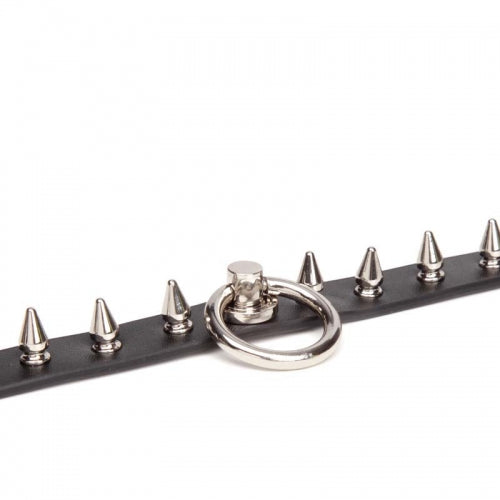 Studded Leather Collar with O-Ring w Leash