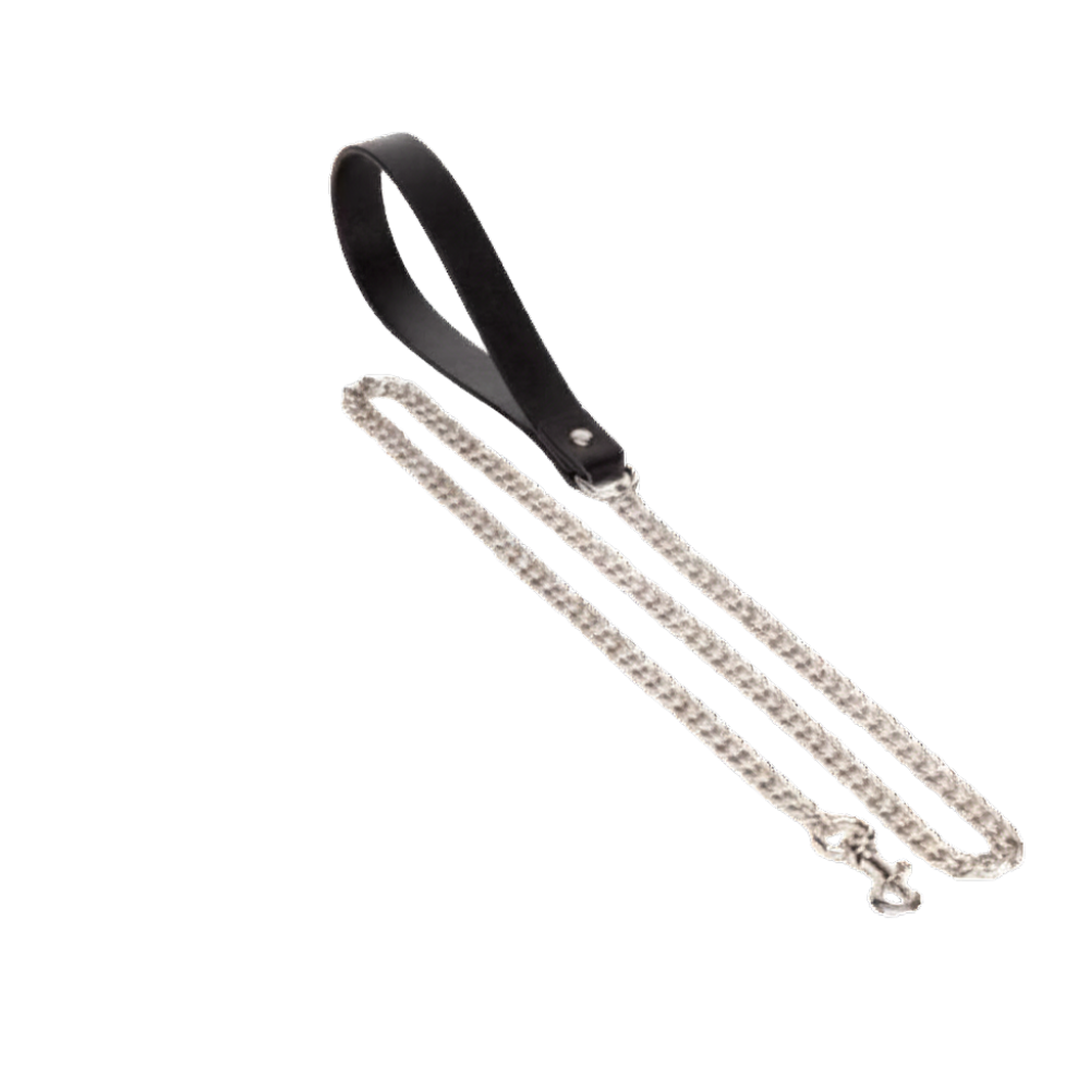 Studded Leather Collar with O-Ring w Leash