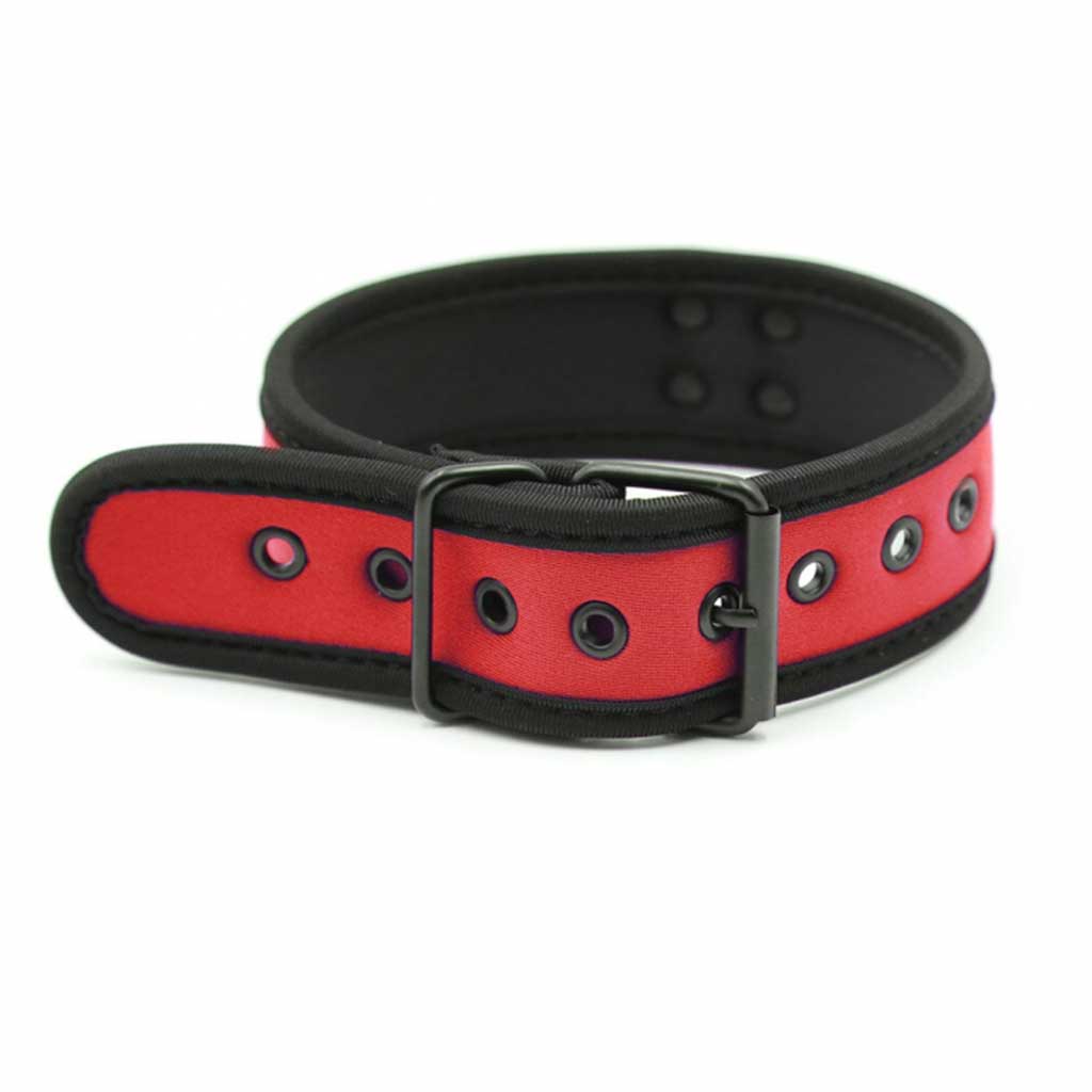 Red and black dog collar with metal buckle on a white background
