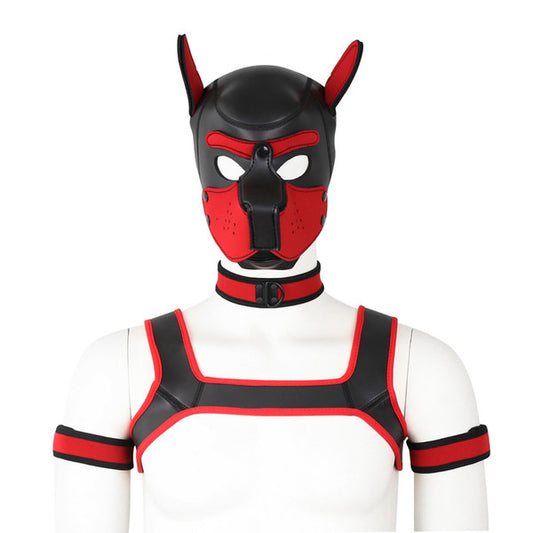 Black and red dog muzzle with harness on a white background